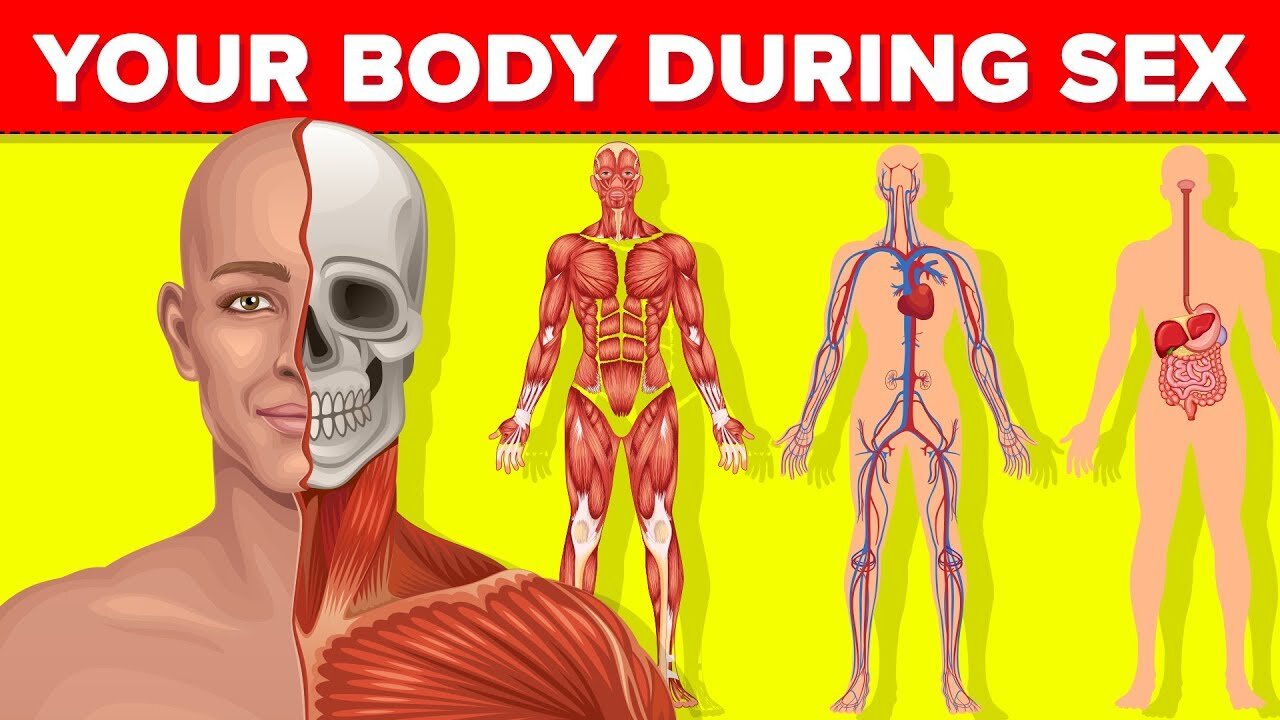 What Happens to Your Body During Sex? The Science Behind Pleasure! 🔥🧠💓