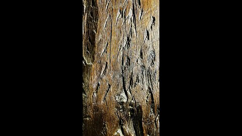 What's your non-negotiable daily habit?