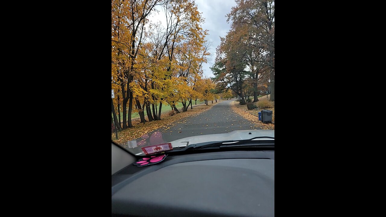 Autumn Colors are awesome