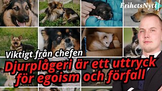 Ledaren: Varför vi behöver ta tillbaka djurrätt från extremisterna