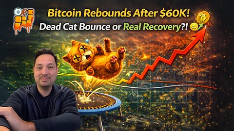 Bitcoin Rebounds After $60K! Dead Cat Bounce or Real Recovery?