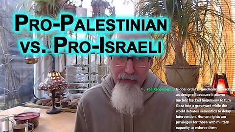 Pro-Palestinian Perspective vs. Pro-Israeli Perspective