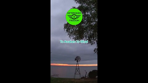 To Awaken To What...