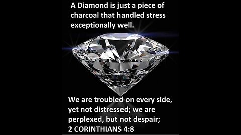 Embrace the Challenges