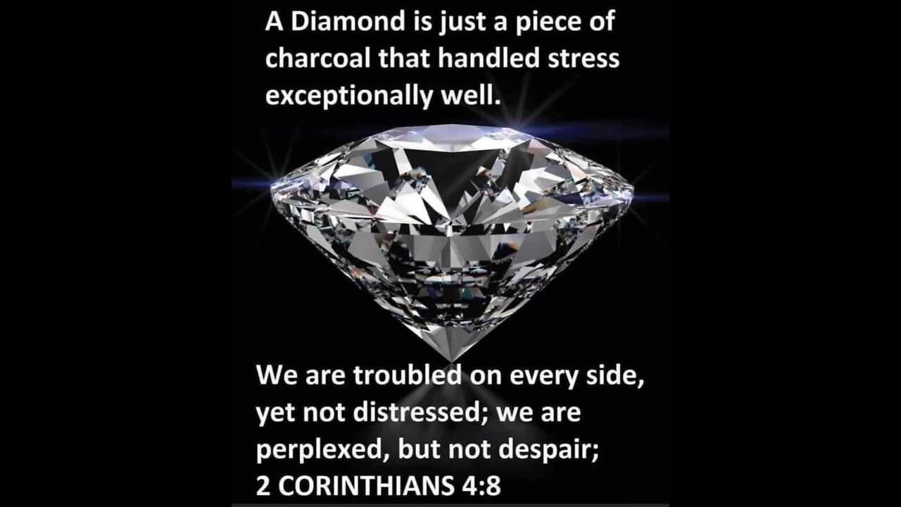 Embrace the Challenges