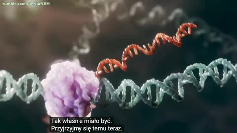 DNA makes RNA makes protein (napisy PL) 2025.09.28