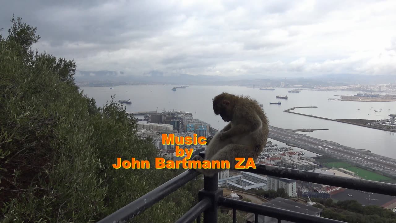 Gibraltar Rock. Barbary Macaque Monkies photo book 3. Available through Blurb and Amazon Worldwide