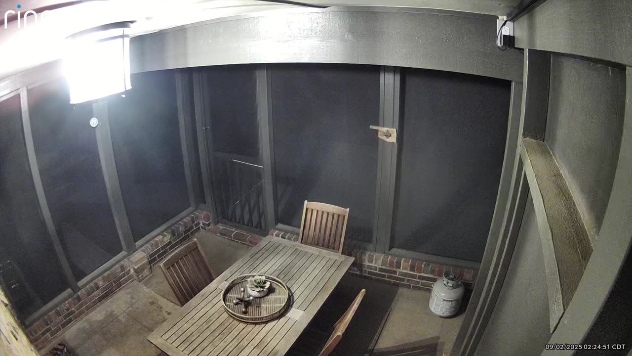 🤯👻 Looking for Logical Suggestions as to What This Could Be... | TheHauntingHour