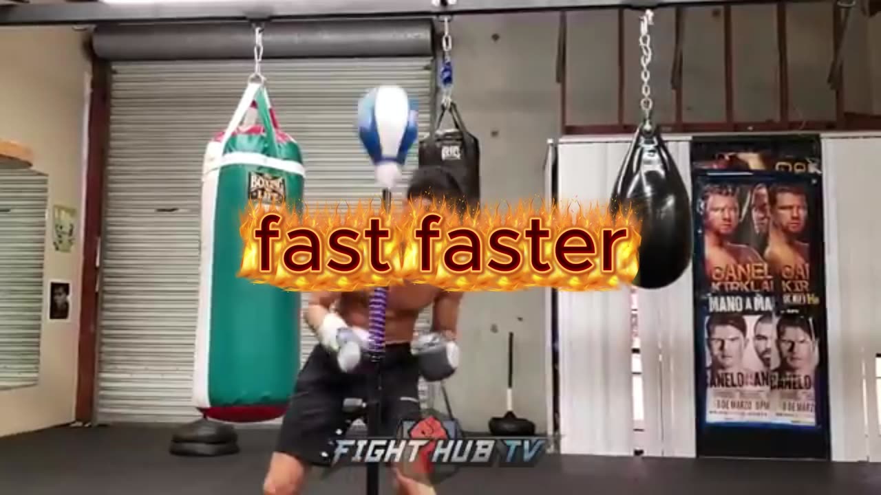 rayan bocxing bag punch