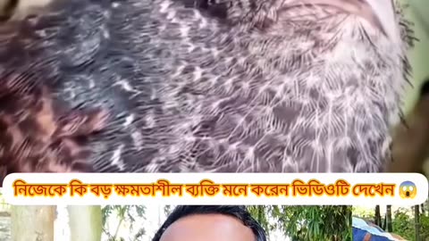 “Nature Shows Real Power | Bird vs Snake”