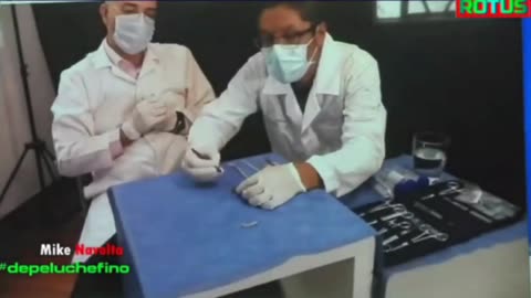 🔪🤯 Extended Dissection of 60cm Specimen's Hands Revealed! | TheTruthAbove