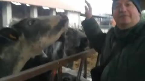 Campagna dei nostri natali il ritorno