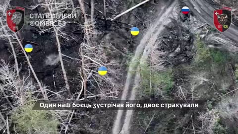 The 3-Year Long Battle for the Serebryansky Forest Continues
