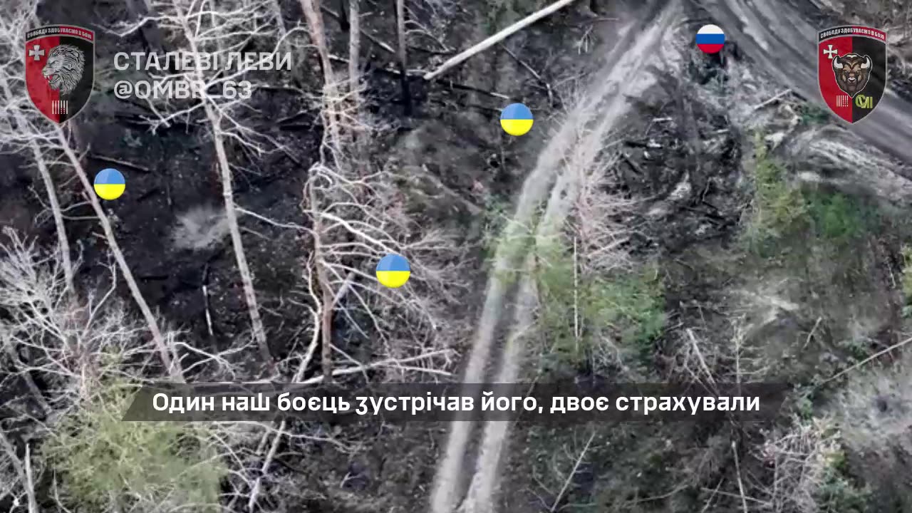 The 3-Year Long Battle for the Serebryansky Forest Continues