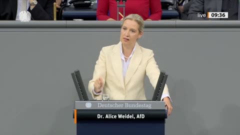 Alice Weidel zerstört Merz' Politik – Bundestag in Aufruhr! 😂 - AfD-Fraktion im Bundestag