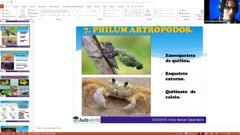 AULA 20 REGULAR 2026 - 1 | Semana 01 | Anatomía