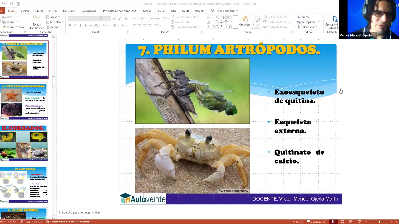 AULA 20 REGULAR 2026 - 1 | Semana 01 | Anatomía