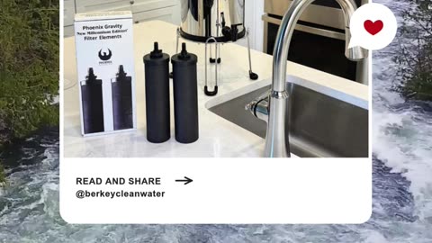 Introducing the Phoenix Berkey Filter Elements
