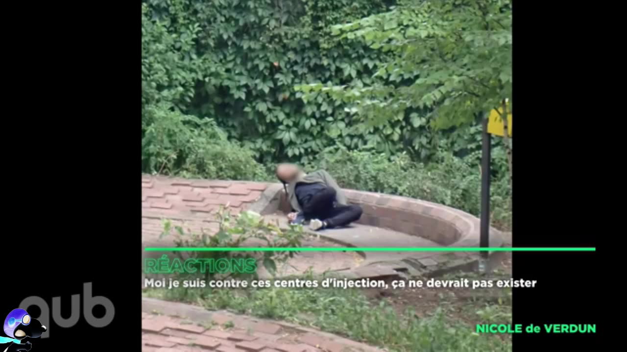 MONTRÉAL RACCOON CITY