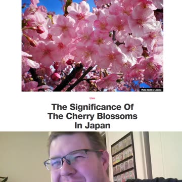 Metabot Thoughts: Sakura-Chan