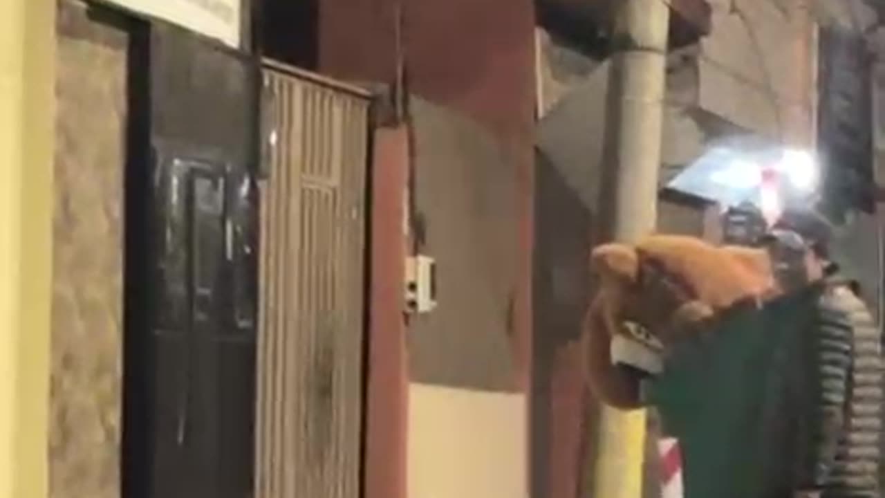 Rescuing a Giant Teddy Bear From the Garbage