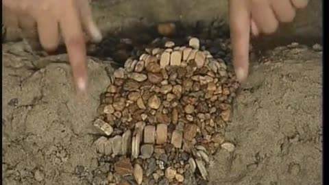 Zoom WETA September 16, 2001 100pm-130pm EDT