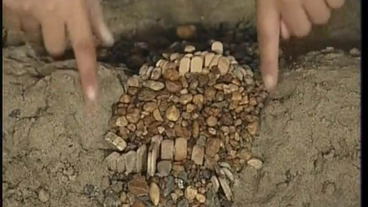 Zoom WETA September 16, 2001 100pm-130pm EDT