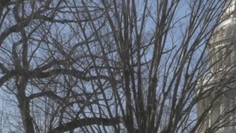 ✈️ Airlines Beg Congress for Help — What It Means for YOU!