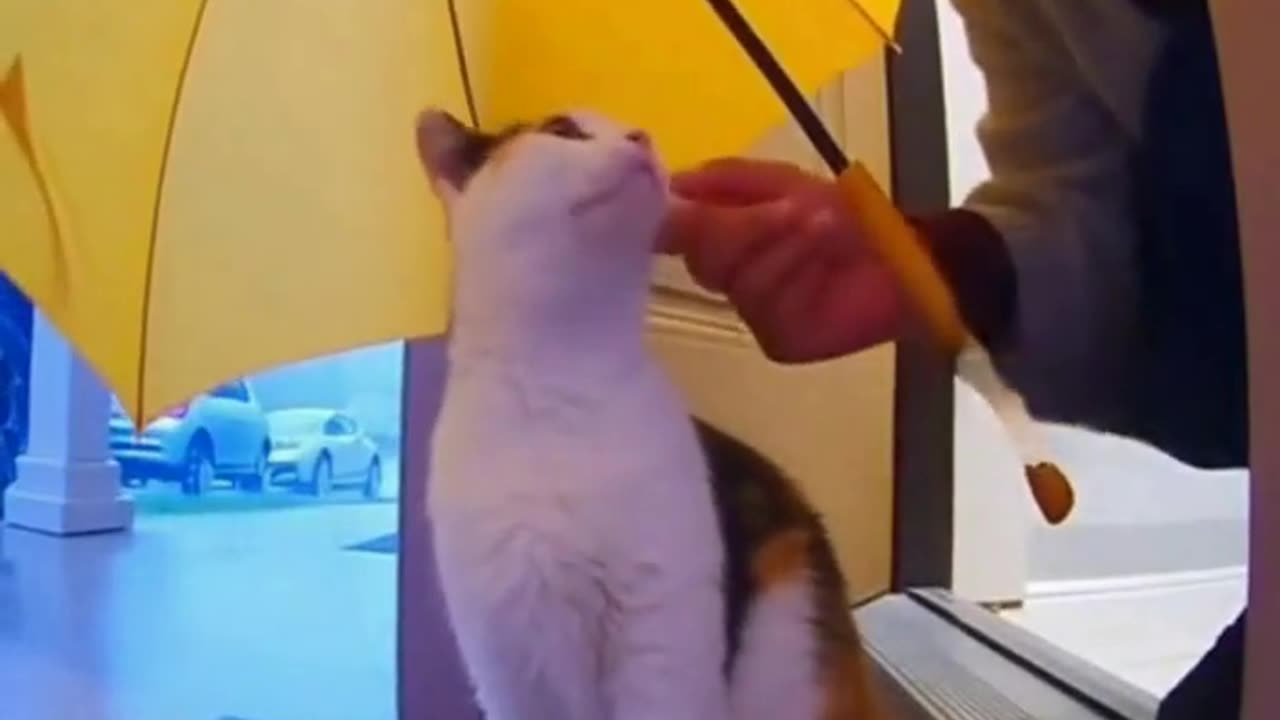 No Budy Expected This...