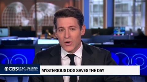 Angelic miracles are Pleiadian Bi-local operations.