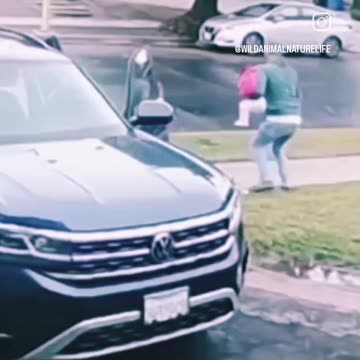 NEVER LEAVE YOUR CHILD AN ATTENDED OUTSIDE LOOK WHAT HAPPENED