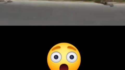 ✈️