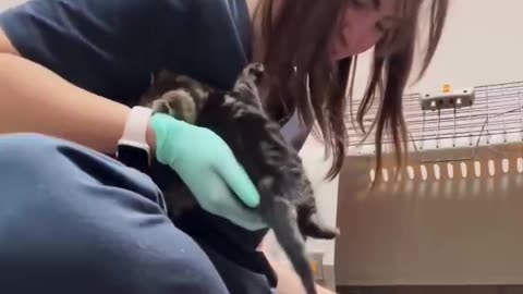 This Is My Kind of Therapy 😌