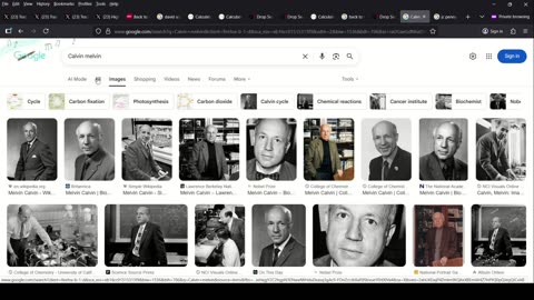 88MPH Back To The Future After Nuclear Evolution Comet 3I/Atlas Nuclear War Golden Gate Bridge