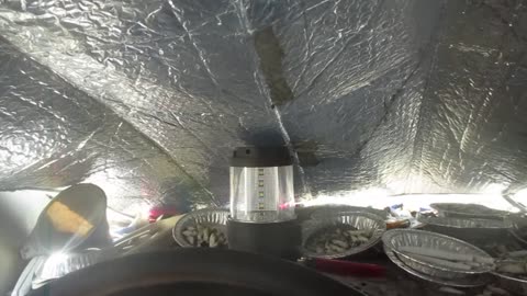 $1.50 to my name. Hopefully, friends and family will help me. 11/23/2025.