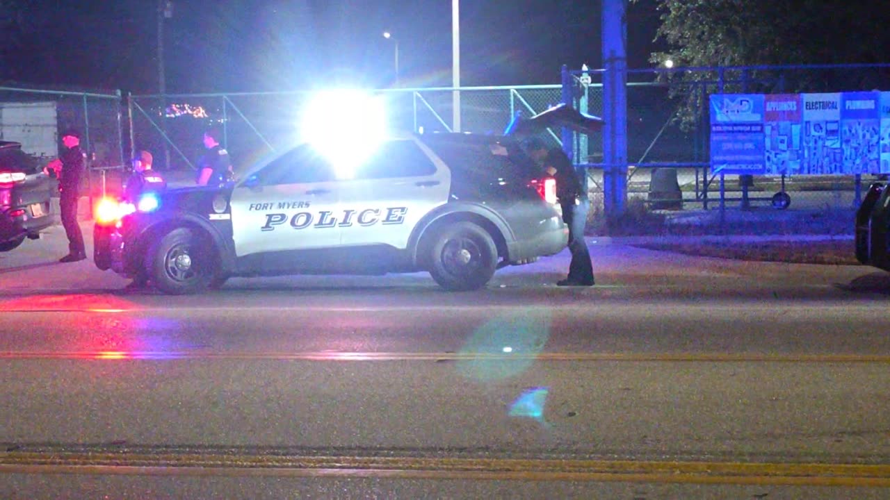 SEARCHING FOR 1 GOOD COP