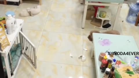 连狗都有这小心思，何况人乎？
