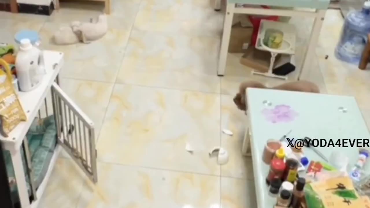 连狗都有这小心思，何况人乎？