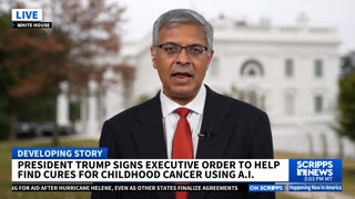 Explaining the White House’s new AI-based cancer research