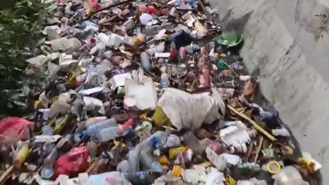 This is Indonesia. Where is Greta?