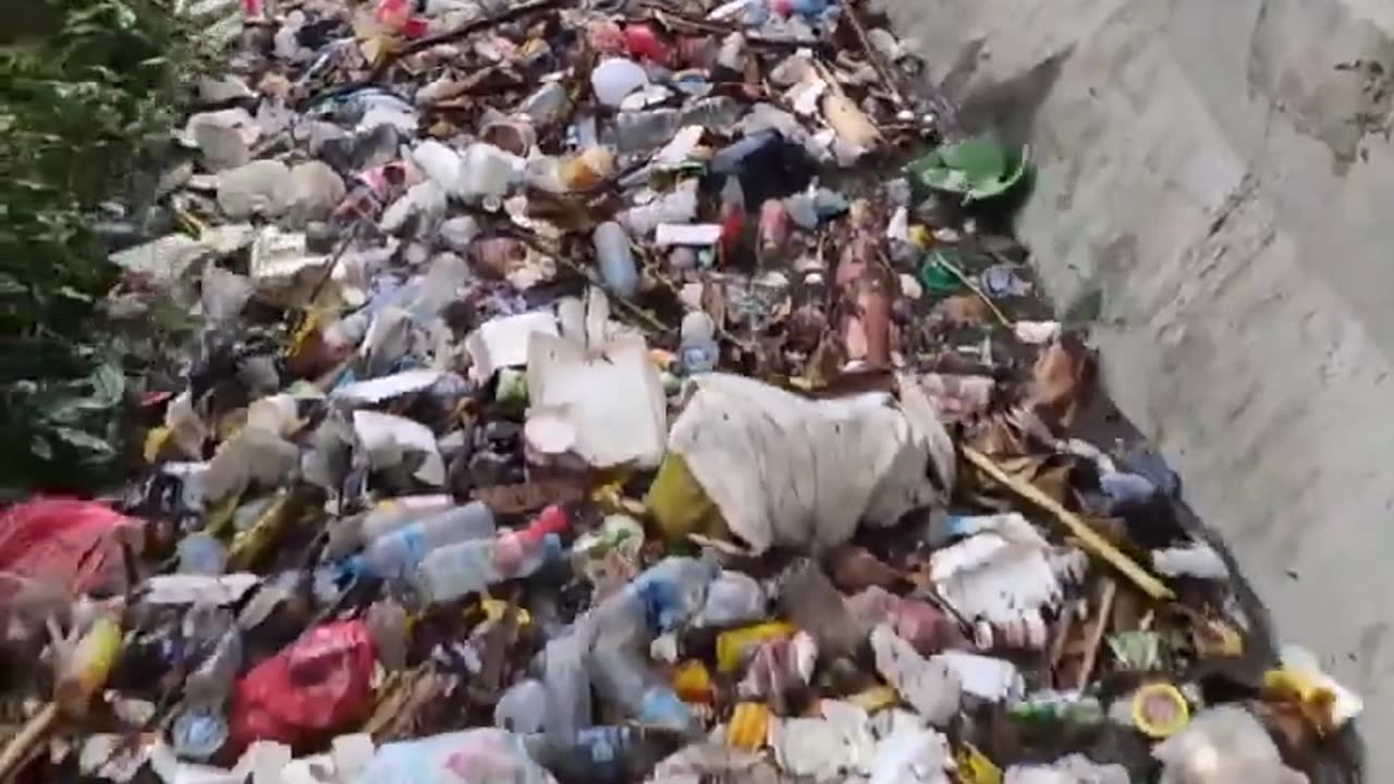 This is Indonesia. Where is Greta?