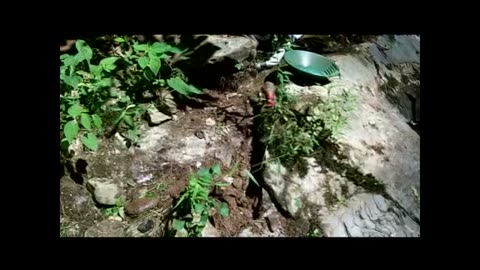 Lower Coker Creek May 11, 2012