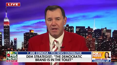 Dem strategist warns party's brand is 'in the toilet'