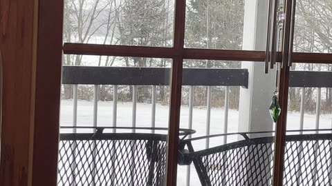 Nothing can be misleading