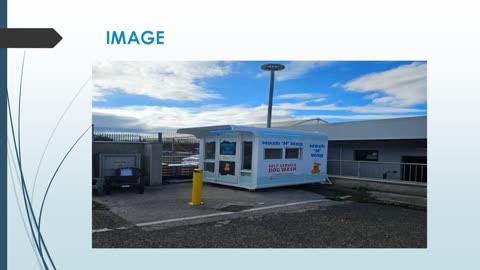 Best Rodent Control in Borris-in-Ossory