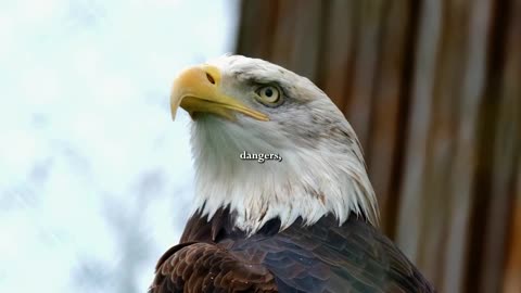 The White House 🦅🦅🦅 Nothing comes close to America.