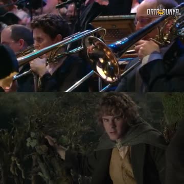 Soundtrack “The Last March of the Ents” from The Lord of the Rings.