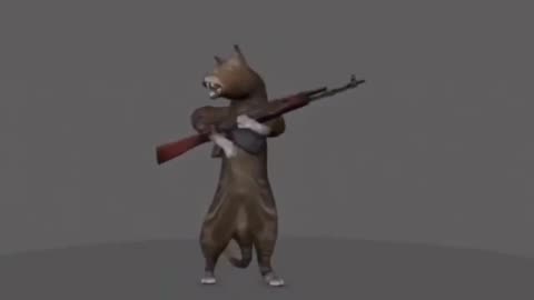 Shot gun kitty (MEME)