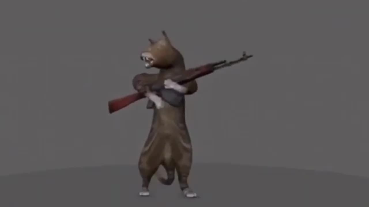 Shot gun kitty (MEME)