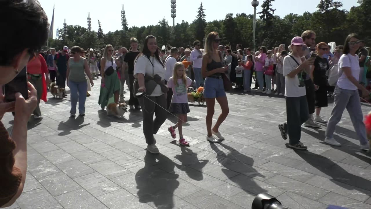 The first corgi parade at VDNKh (Fragment) August 30, 2025